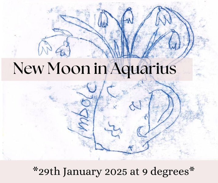 New Moon in Aquarius Jan 29th 2025 at 9 degrees - Valuing our own uniqueness and originality